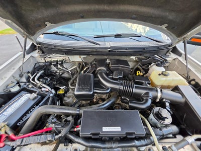 2010 Ford F-150 XL
